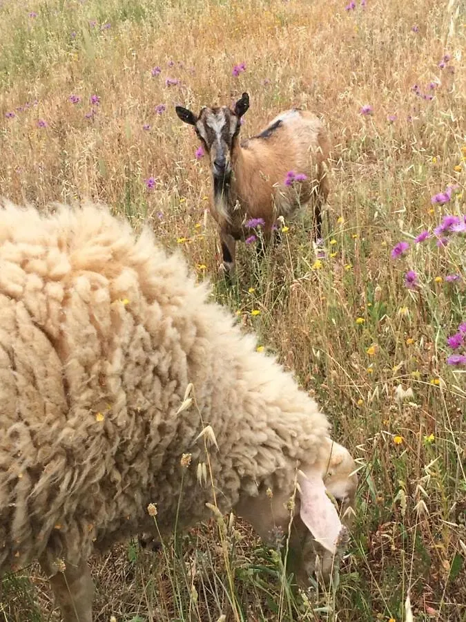 Nocini Di Maremma Villa Tatti Farm stay
