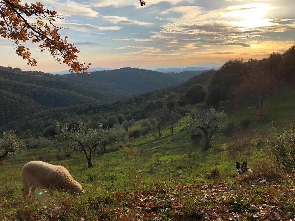 Nocini Di Maremma Villa Tatti 0*,