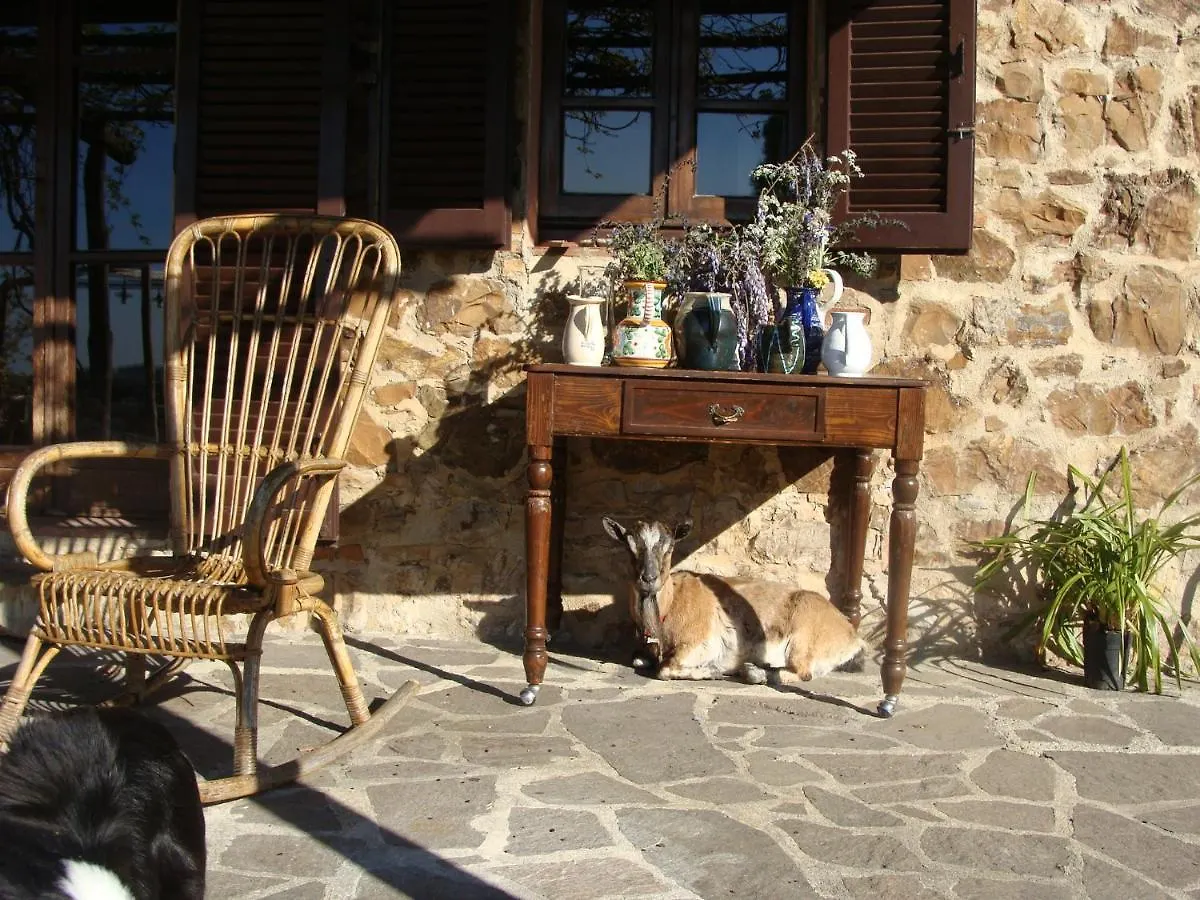 Farm stay Nocini Di Maremma Villa Tatti Italy