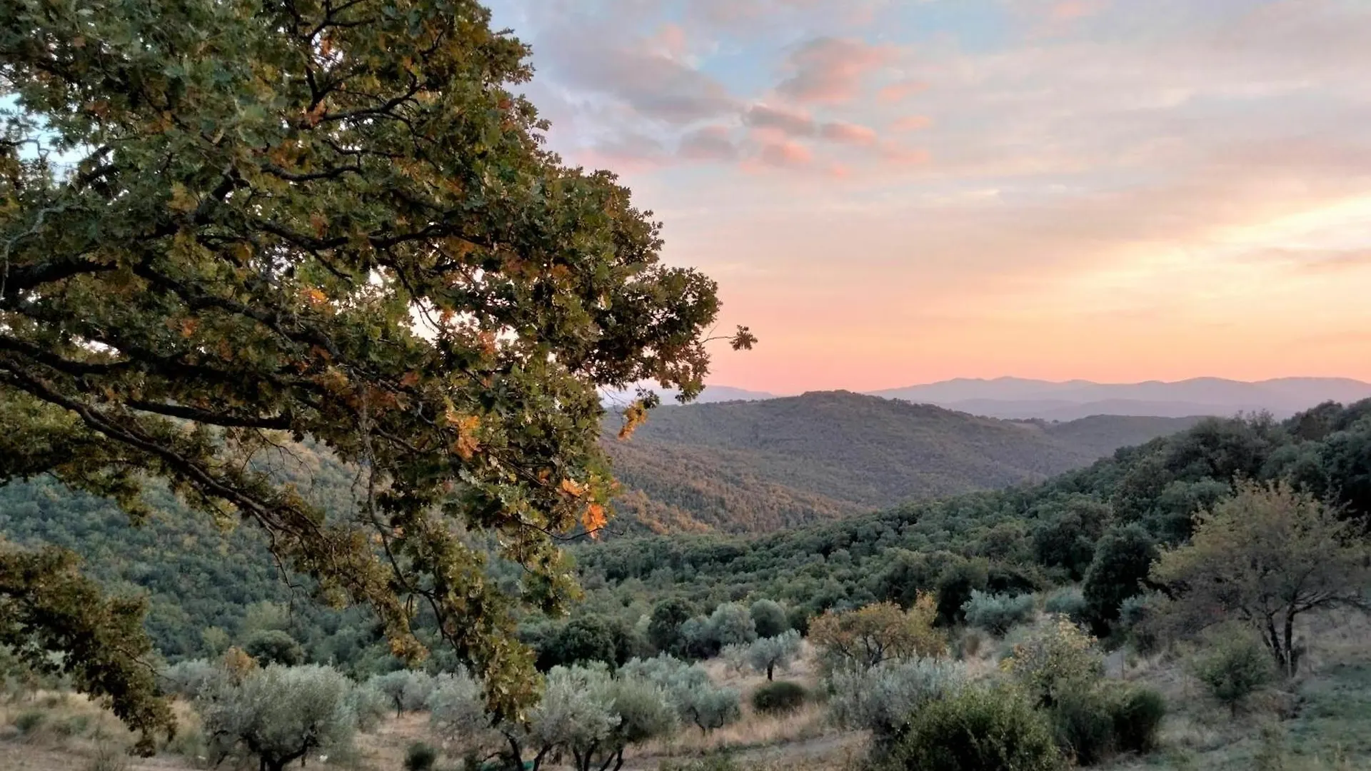 Farm stay Nocini Di Maremma Villa Tatti