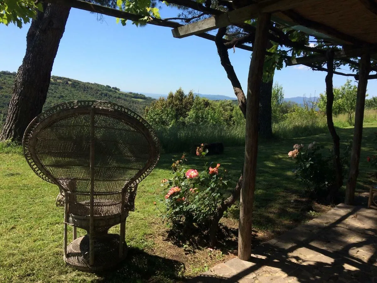 Nocini Di Maremma Villa Tatti
